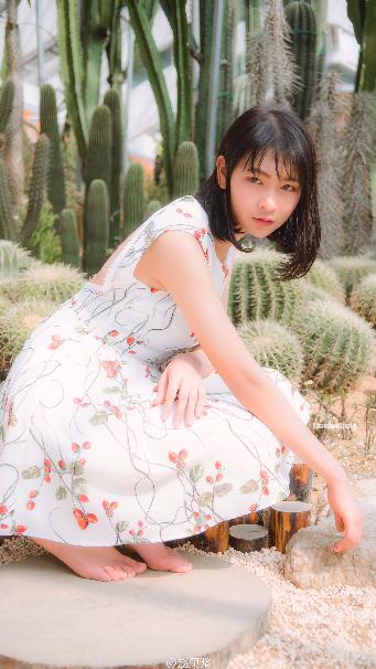 成人动漫在线观看