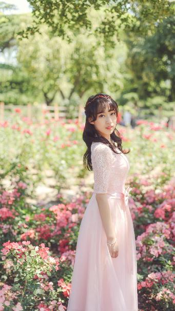 神墓免费观看全集完整版